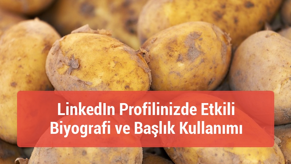 LinkedIn Profilinizde Etkili Biyografi ve Başlık Kullanımı