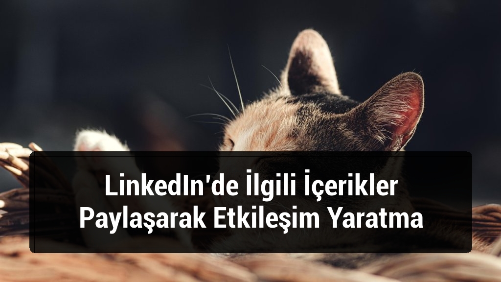 LinkedIn’de İlgili İçerikler Paylaşarak Etkileşim Yaratma