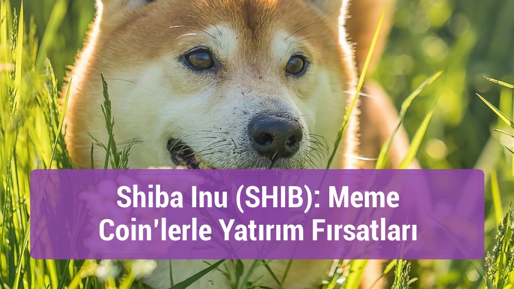 Shiba Inu (SHIB): Meme Coin’lerle Yatırım Fırsatları