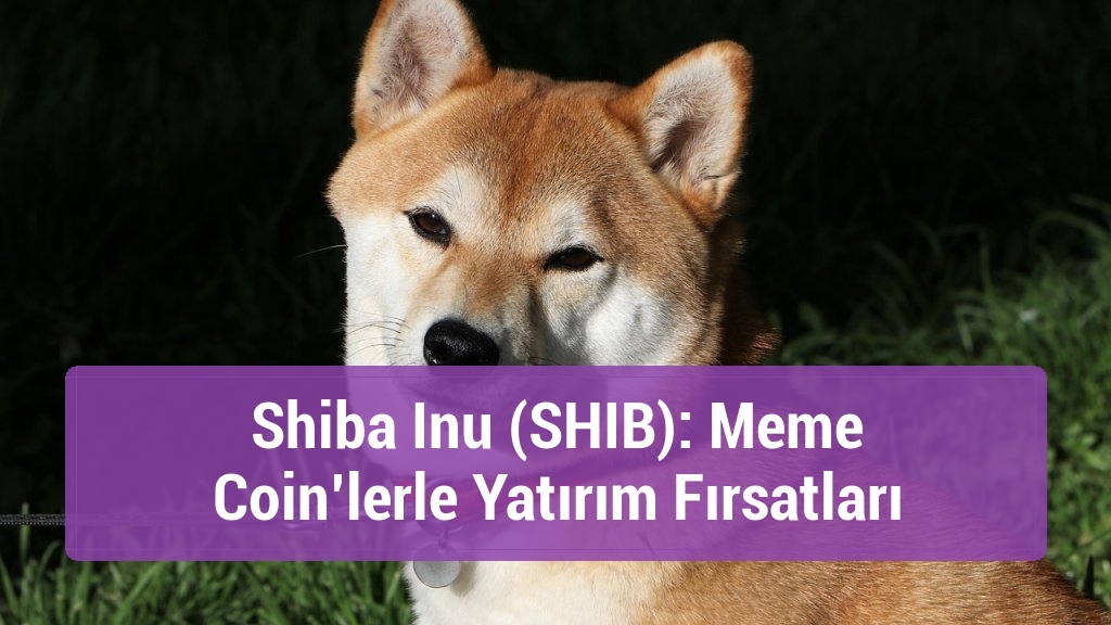 Shiba Inu (SHIB): Meme Coin’lerle Yatırım Fırsatları