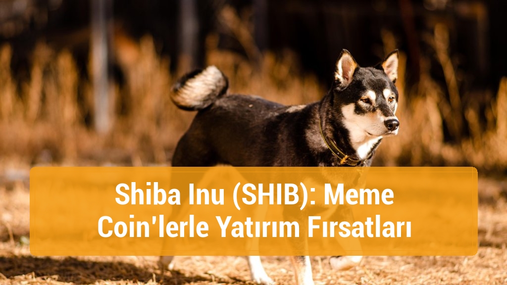 Shiba Inu (SHIB): Meme Coin’lerle Yatırım Fırsatları