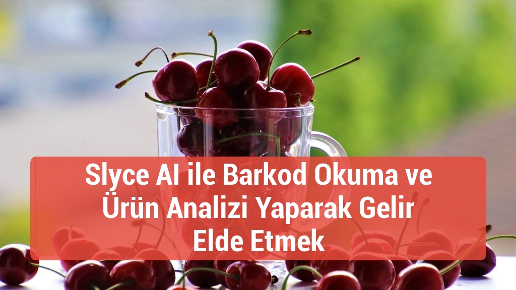 Slyce AI ile Barkod Okuma ve Ürün Analizi Yaparak Gelir Elde Etmek