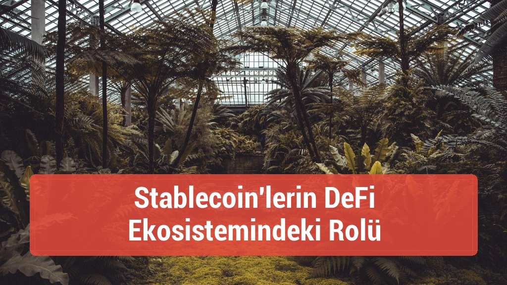 Stablecoin'lerin DeFi Ekosistemindeki Rolü
