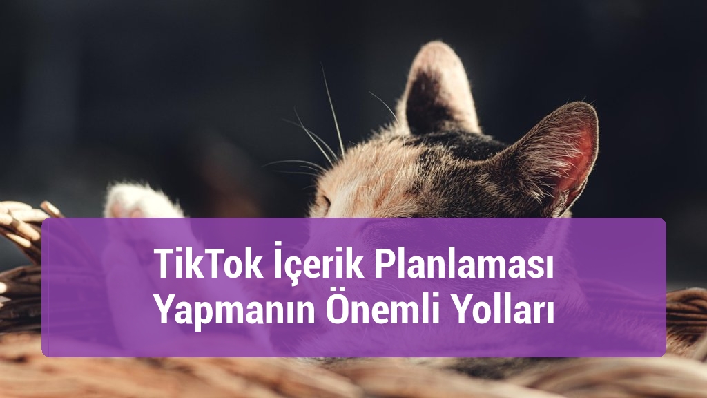 TikTok İçerik Planlaması Yapmanın Önemli Yolları