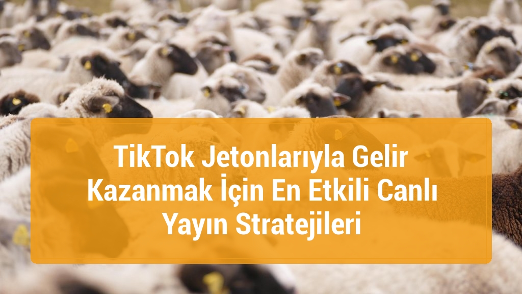 TikTok Jetonlarıyla Gelir Kazanmak İçin En Etkili Canlı Yayın Stratejileri