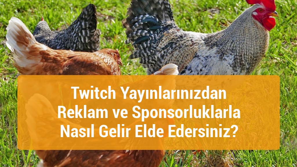 Twitch Yayınlarınızdan Reklam ve Sponsorluklarla Nasıl Gelir Elde Edersiniz?