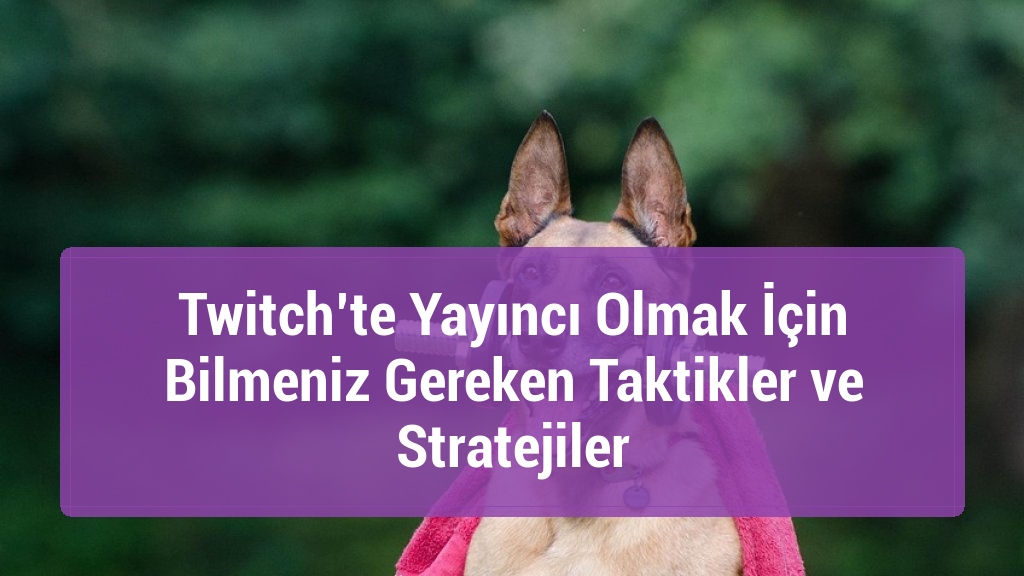 Twitch’te Yayıncı Olmak İçin Bilmeniz Gereken Taktikler ve Stratejiler