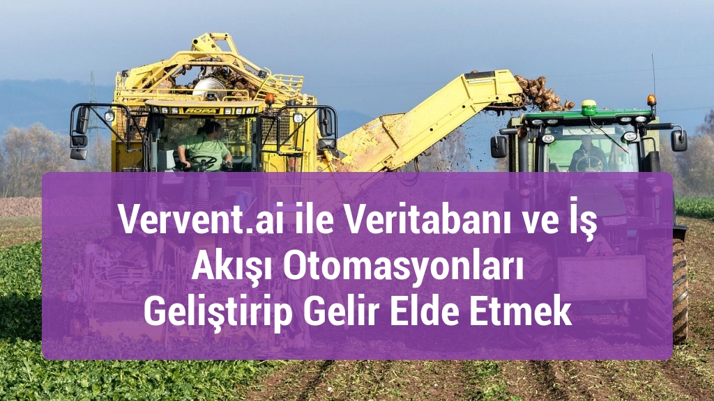 Vervent.ai ile Veritabanı ve İş Akışı Otomasyonları Geliştirip Gelir Elde Etmek
