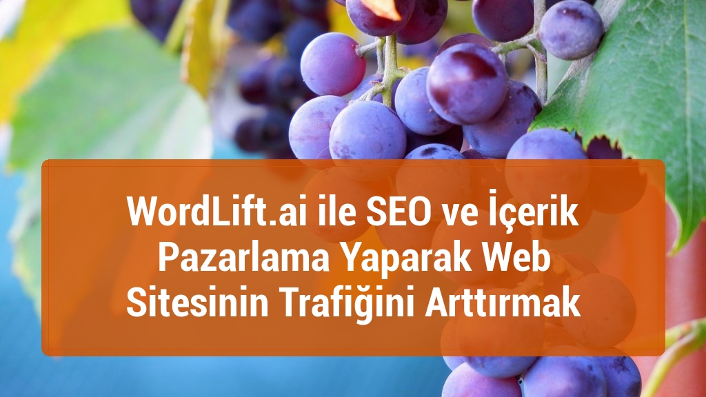 WordLift.ai ile SEO ve İçerik Pazarlama Yaparak Web Sitesinin Trafiğini Arttırmak