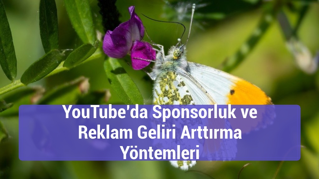 YouTube’da Sponsorluk ve Reklam Geliri Arttırma Yöntemleri