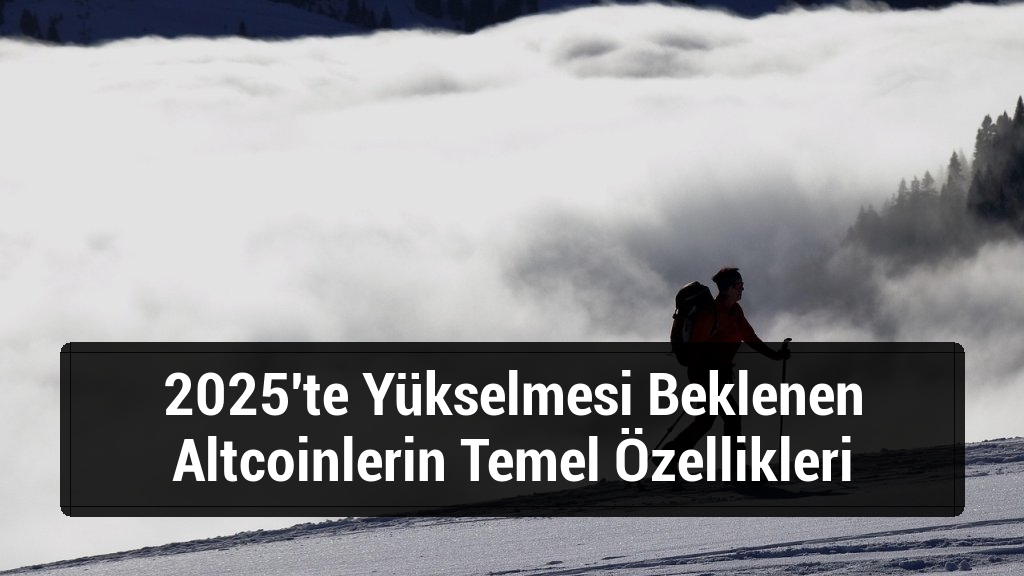 2025'te Yükselmesi Beklenen Altcoinlerin Temel Özellikleri