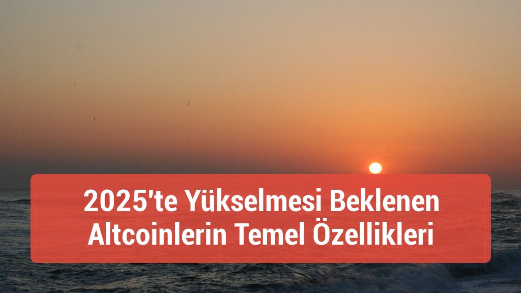 2025'te Yükselmesi Beklenen Altcoinlerin Temel Özellikleri