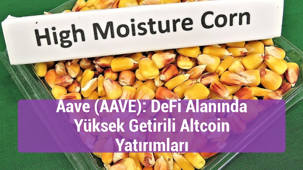 Aave (AAVE): DeFi Alanında Yüksek Getirili Altcoin Yatırımları