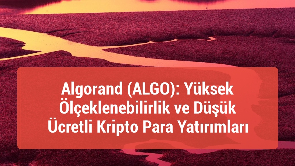 Algorand (ALGO): Yüksek Ölçeklenebilirlik ve Düşük Ücretli Kripto Para Yatırımları