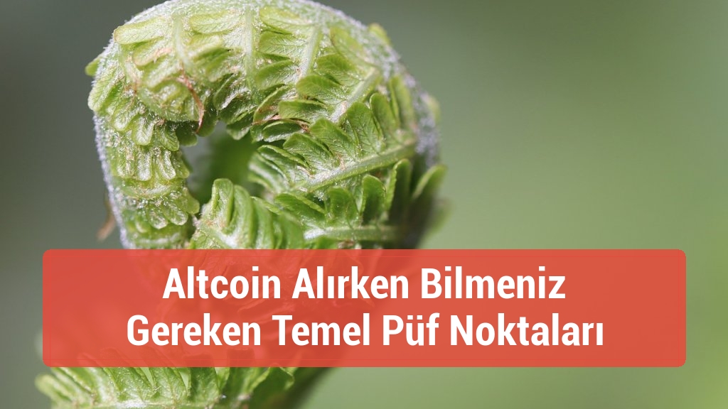 Altcoin Alırken Bilmeniz Gereken Temel Püf Noktaları
