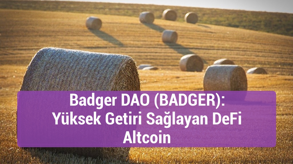 Badger DAO (BADGER): Yüksek Getiri Sağlayan DeFi Altcoin