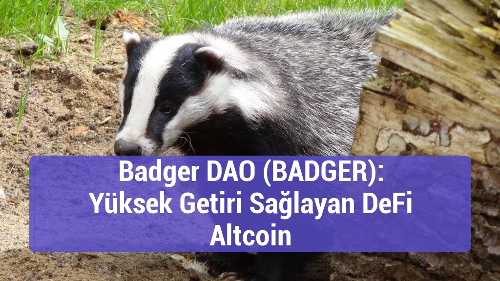 Badger DAO (BADGER): Yüksek Getiri Sağlayan DeFi Altcoin