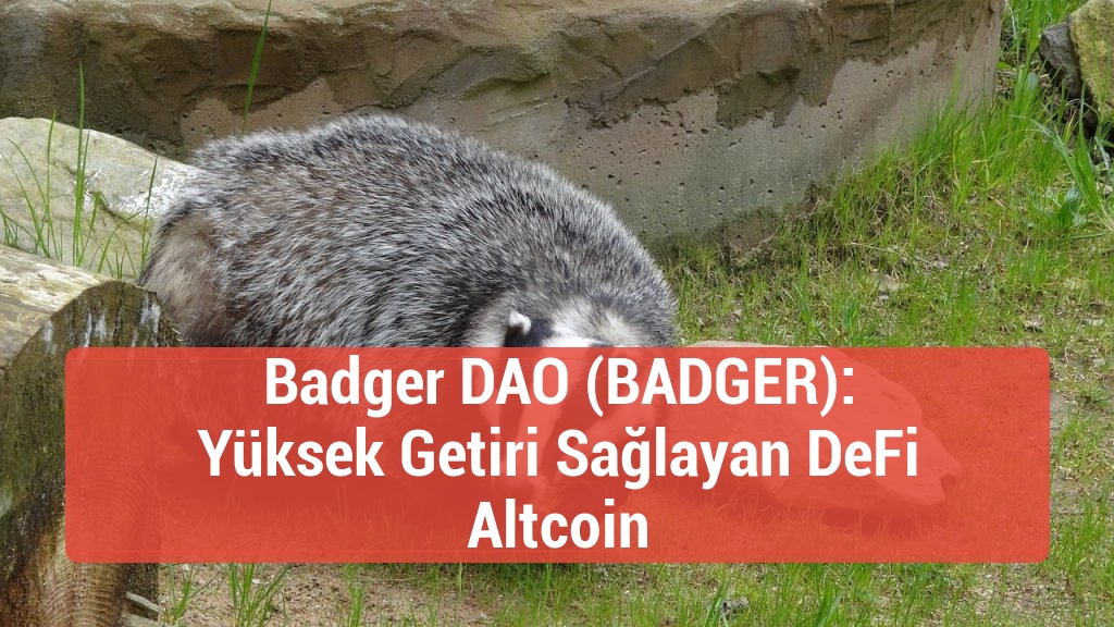 Badger DAO (BADGER): Yüksek Getiri Sağlayan DeFi Altcoin