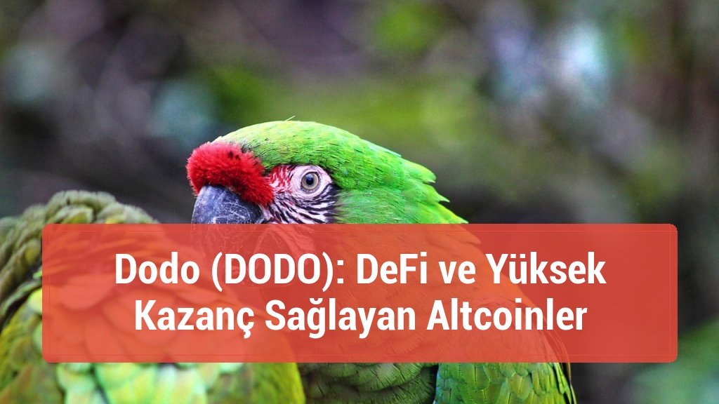 Dodo (DODO): DeFi ve Yüksek Kazanç Sağlayan Altcoinler