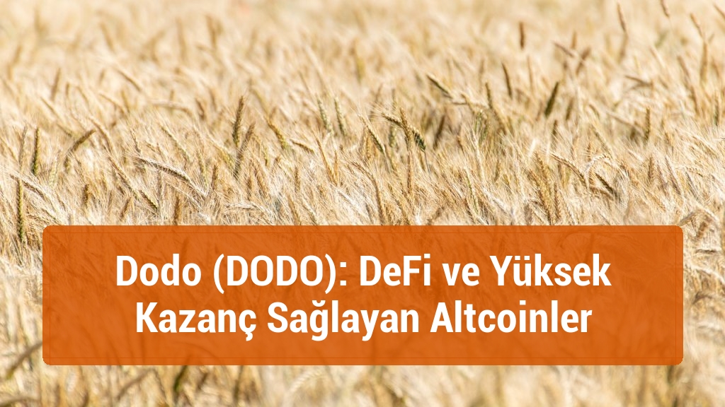 Dodo (DODO): DeFi ve Yüksek Kazanç Sağlayan Altcoinler