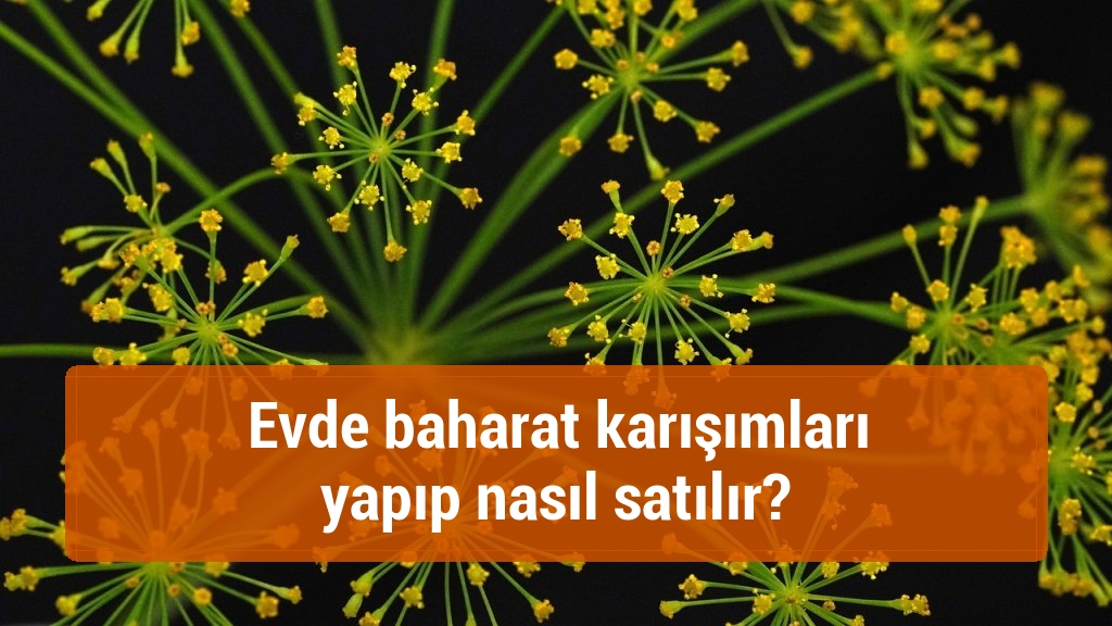 Evde baharat karışımları yapıp nasıl satılır?