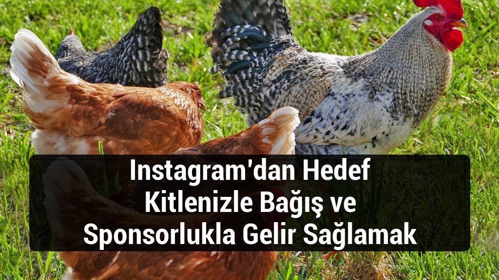 Instagram’dan Hedef Kitlenizle Bağış ve Sponsorlukla Gelir Sağlamak