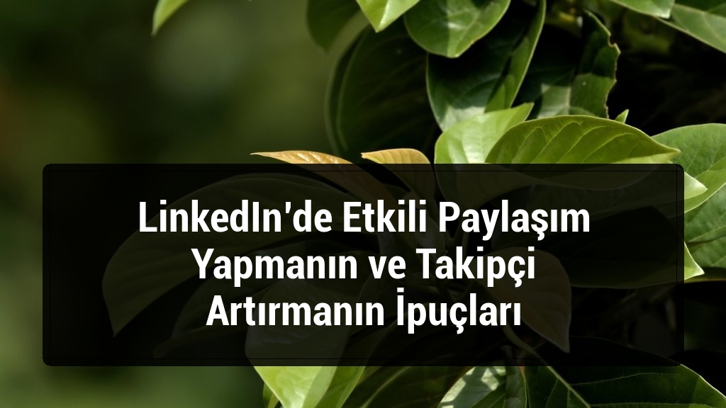 LinkedIn’de Etkili Paylaşım Yapmanın ve Takipçi Artırmanın İpuçları