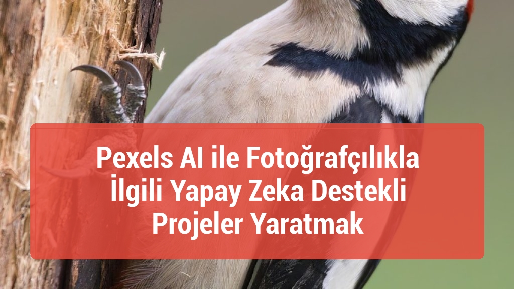 Pexels AI ile Fotoğrafçılıkla İlgili Yapay Zeka Destekli Projeler Yaratmak