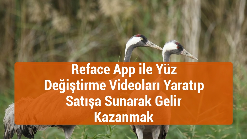 Reface App ile Yüz Değiştirme Videoları Yaratıp Satışa Sunarak Gelir Kazanmak