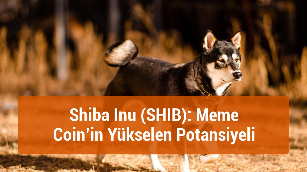 Shiba Inu (SHIB): Meme Coin’in Yükselen Potansiyeli