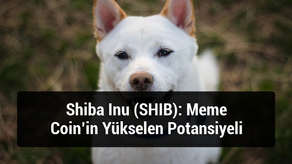 Shiba Inu (SHIB): Meme Coin’in Yükselen Potansiyeli