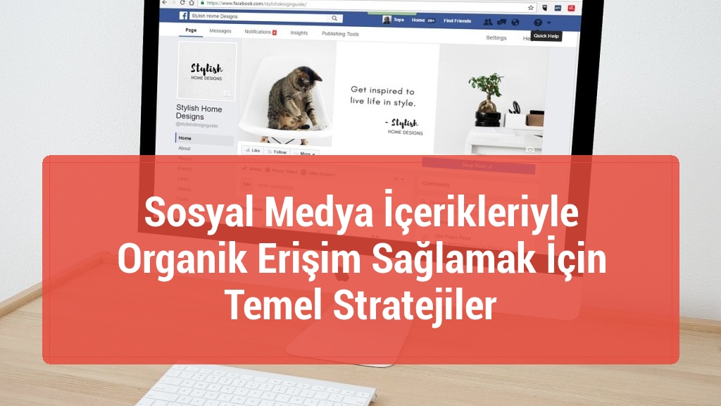 Sosyal Medya İçerikleriyle Organik Erişim Sağlamak İçin Temel Stratejiler