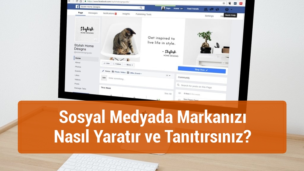 Sosyal Medyada Markanızı Nasıl Yaratır ve Tanıtırsınız?