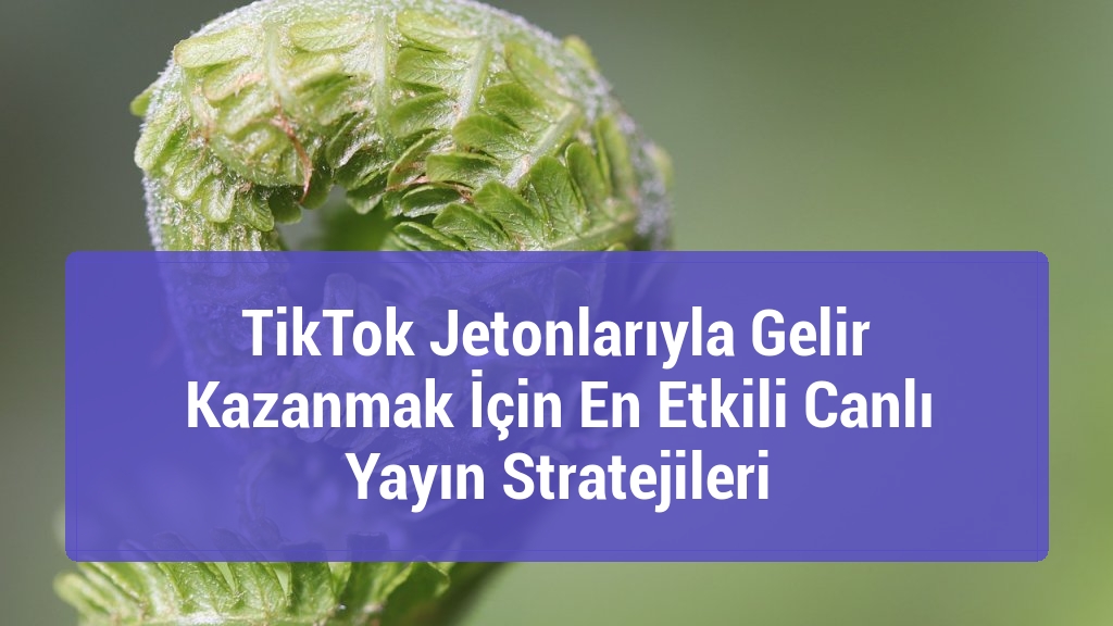TikTok Jetonlarıyla Gelir Kazanmak İçin En Etkili Canlı Yayın Stratejileri