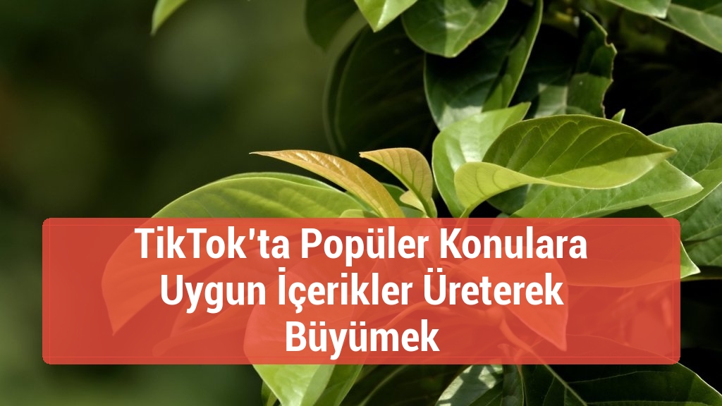 TikTok’ta Popüler Konulara Uygun İçerikler Üreterek Büyümek