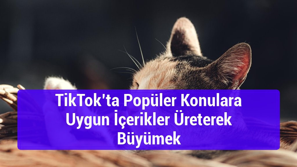 TikTok’ta Popüler Konulara Uygun İçerikler Üreterek Büyümek