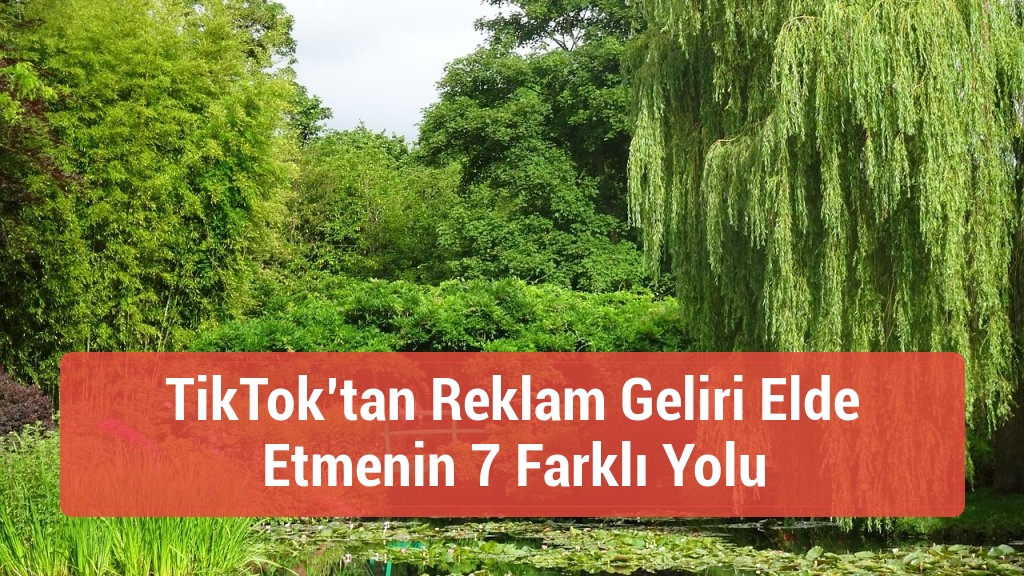 TikTok’tan Reklam Geliri Elde Etmenin 7 Farklı Yolu