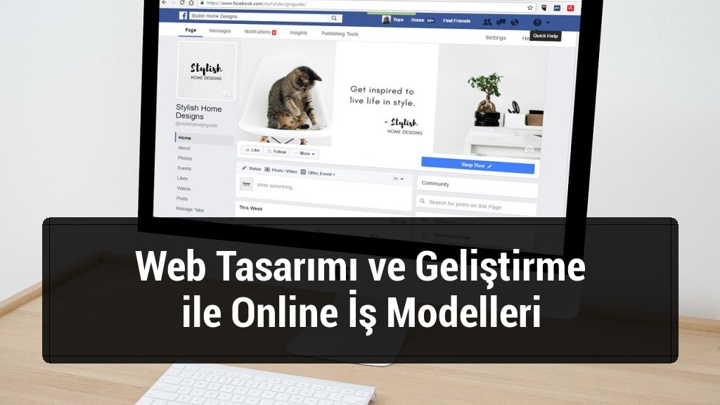 Web Tasarımı ve Geliştirme ile Online İş Modelleri