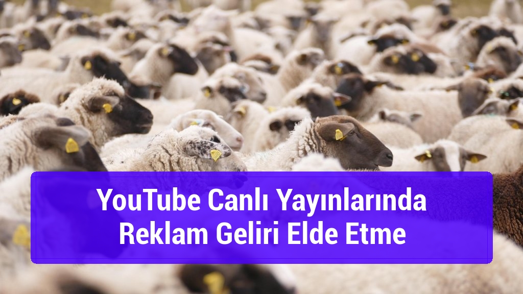 YouTube Canlı Yayınlarında Reklam Geliri Elde Etme