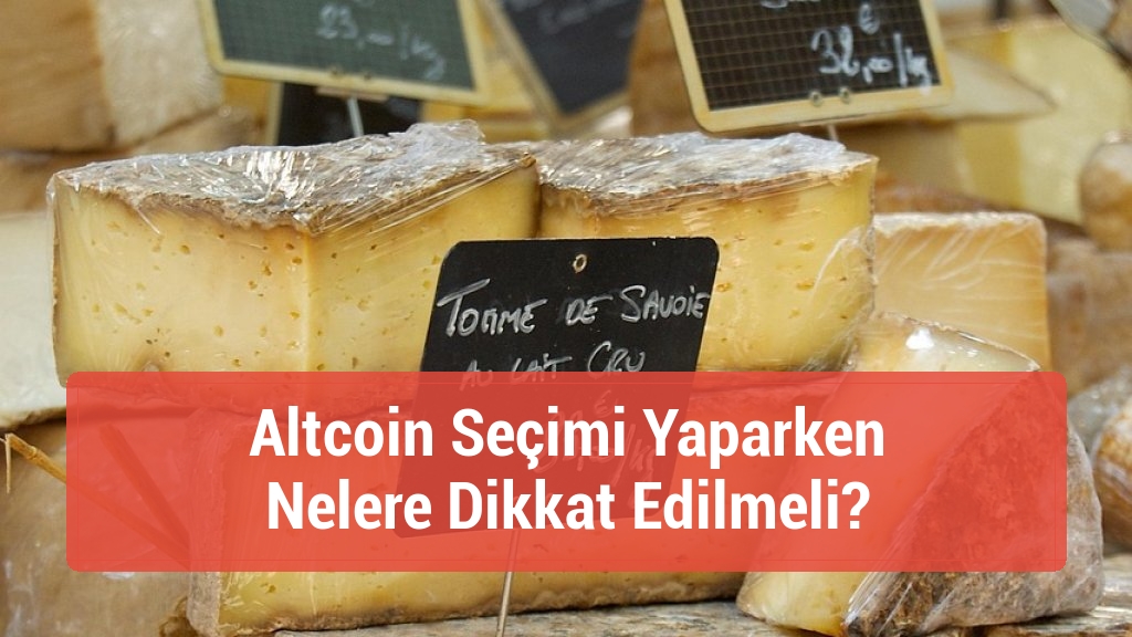 Altcoin Seçimi Yaparken Nelere Dikkat Edilmeli?