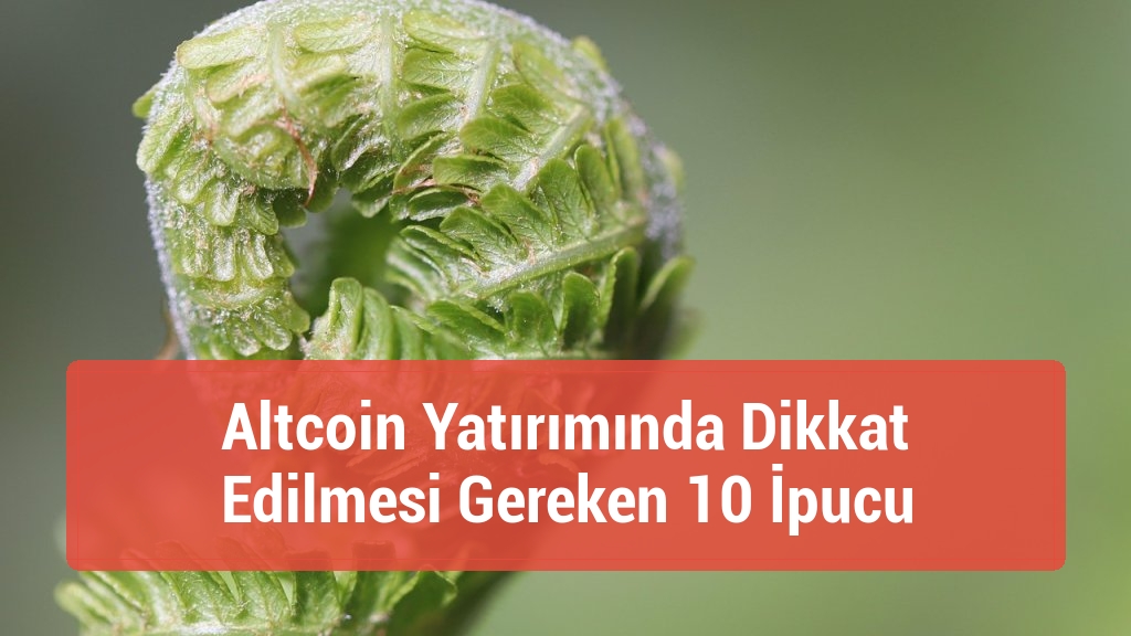 Altcoin Yatırımında Dikkat Edilmesi Gereken 10 İpucu