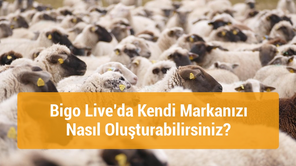 Bigo Live’da Kendi Markanızı Nasıl Oluşturabilirsiniz?
