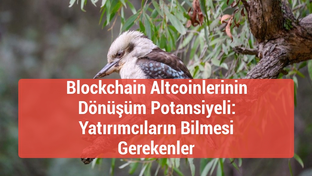 Blockchain Altcoinlerinin Dönüşüm Potansiyeli: Yatırımcıların Bilmesi Gerekenler