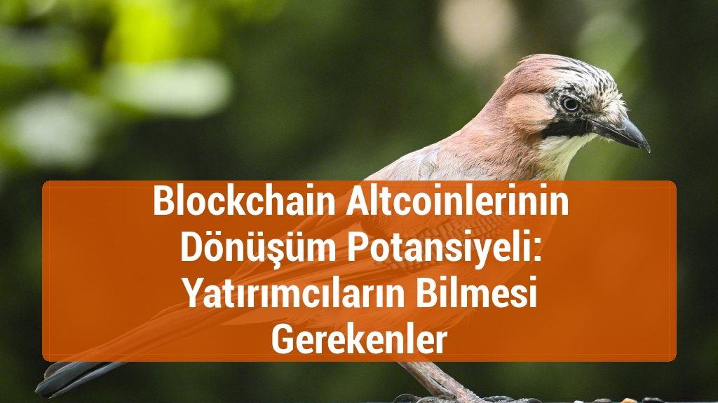 Blockchain Altcoinlerinin Dönüşüm Potansiyeli: Yatırımcıların Bilmesi Gerekenler