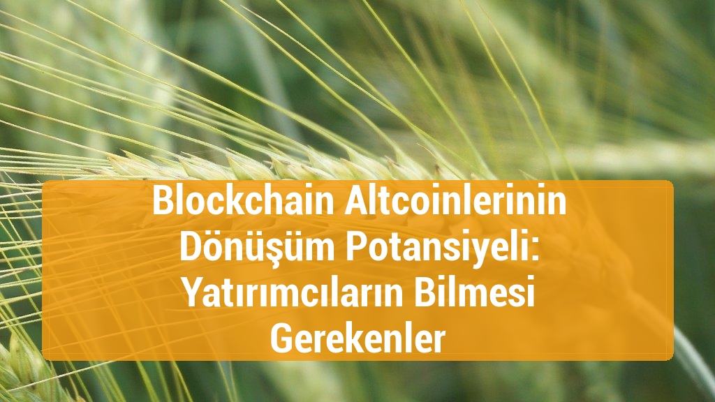 Blockchain Altcoinlerinin Dönüşüm Potansiyeli: Yatırımcıların Bilmesi Gerekenler