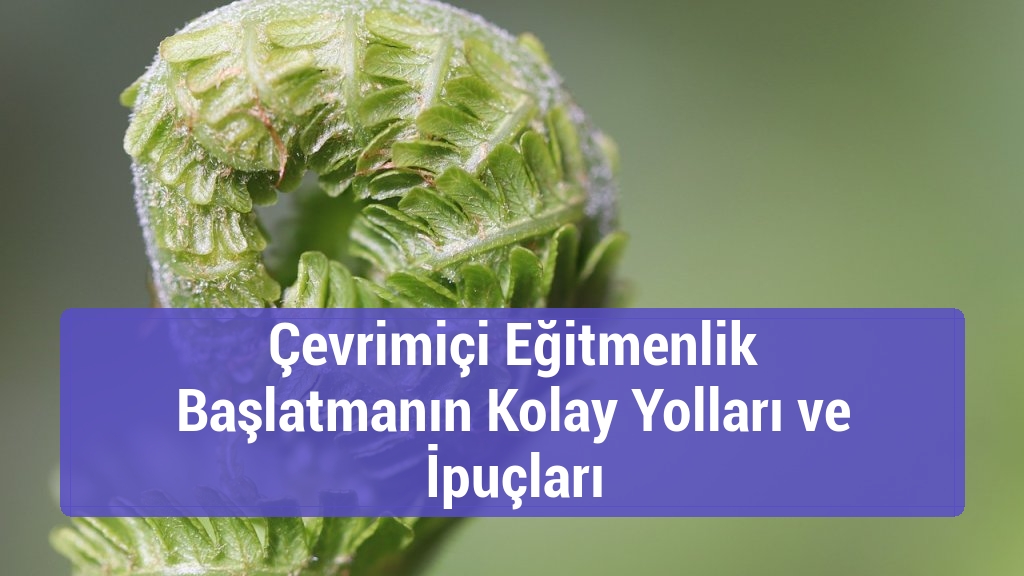 Çevrimiçi Eğitmenlik Başlatmanın Kolay Yolları ve İpuçları