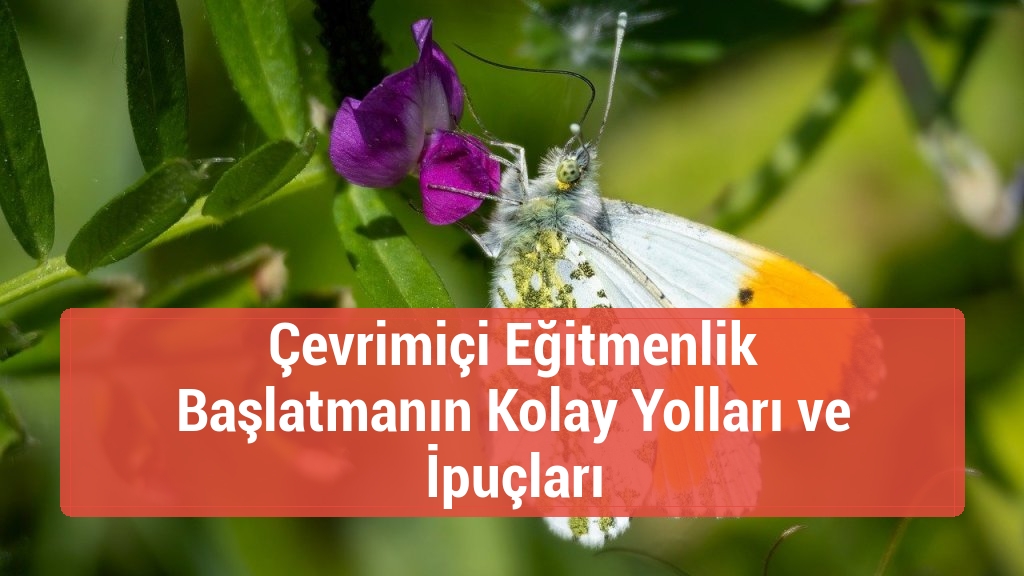 Çevrimiçi Eğitmenlik Başlatmanın Kolay Yolları ve İpuçları