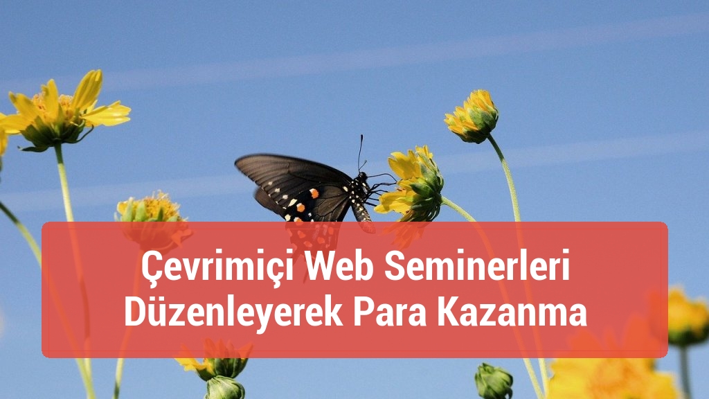 Çevrimiçi Web Seminerleri Düzenleyerek Para Kazanma