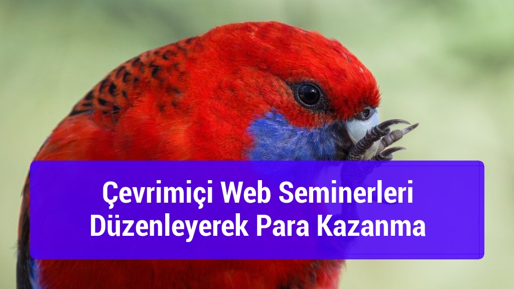 Çevrimiçi Web Seminerleri Düzenleyerek Para Kazanma