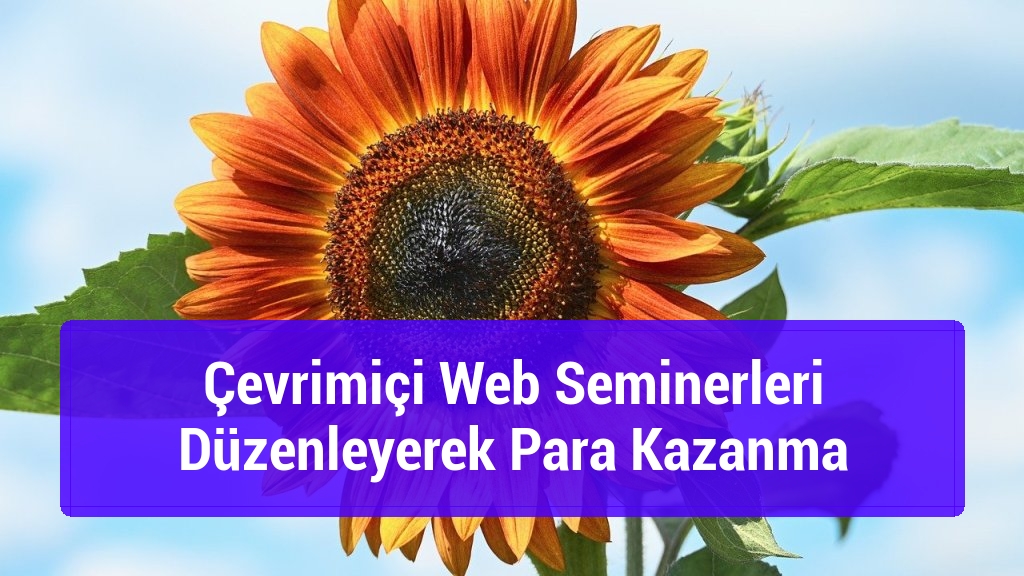 Çevrimiçi Web Seminerleri Düzenleyerek Para Kazanma